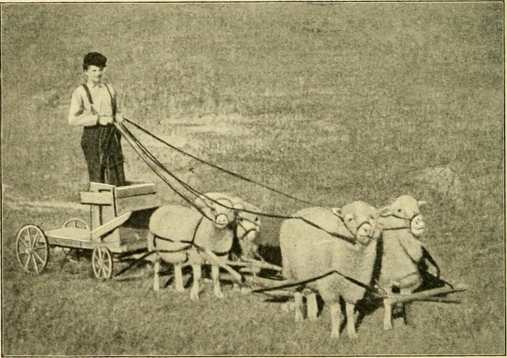 An illustration from Education by plays and games, 1907, leaf 148