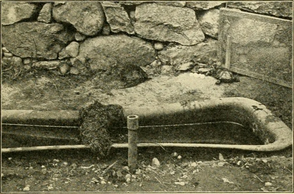 An illustration from Education by plays and games, 1907, leaf 149