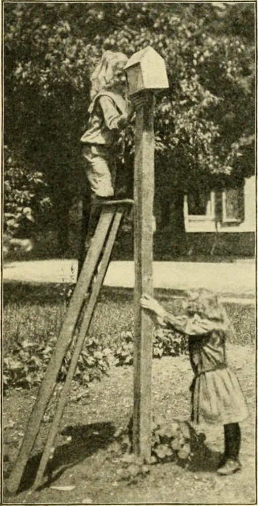 An illustration from Education by plays and games, 1907, leaf 158