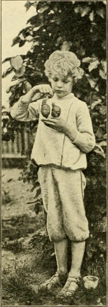 An illustration from Education by plays and games, 1907, leaf 160
