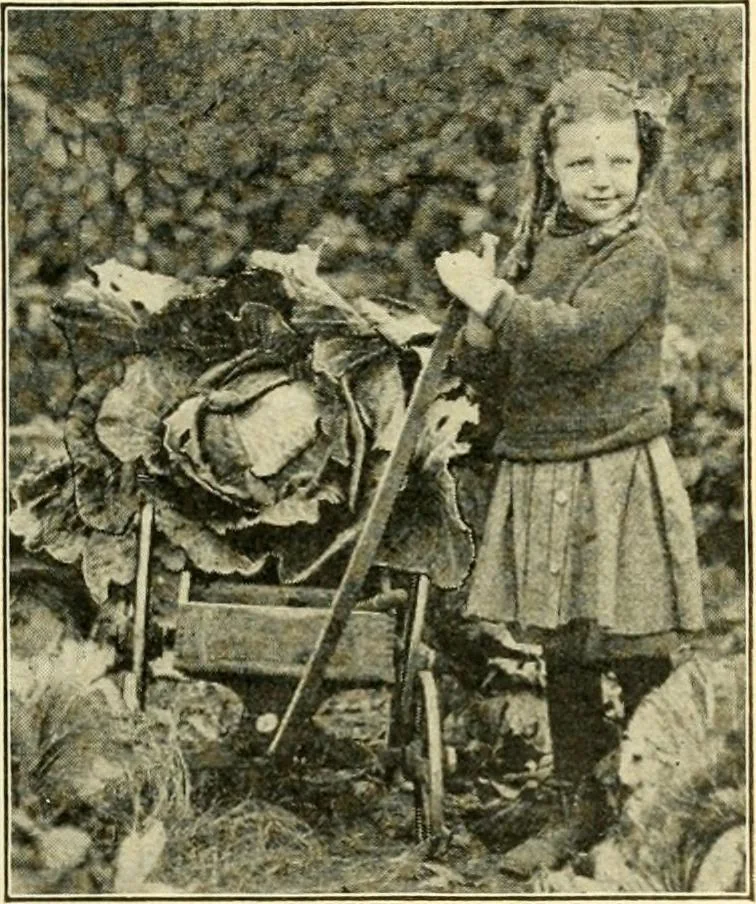 An illustration from Education by plays and games, 1907, leaf 161