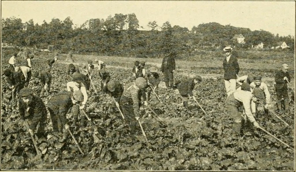 An illustration from Education by plays and games, 1907, leaf 165