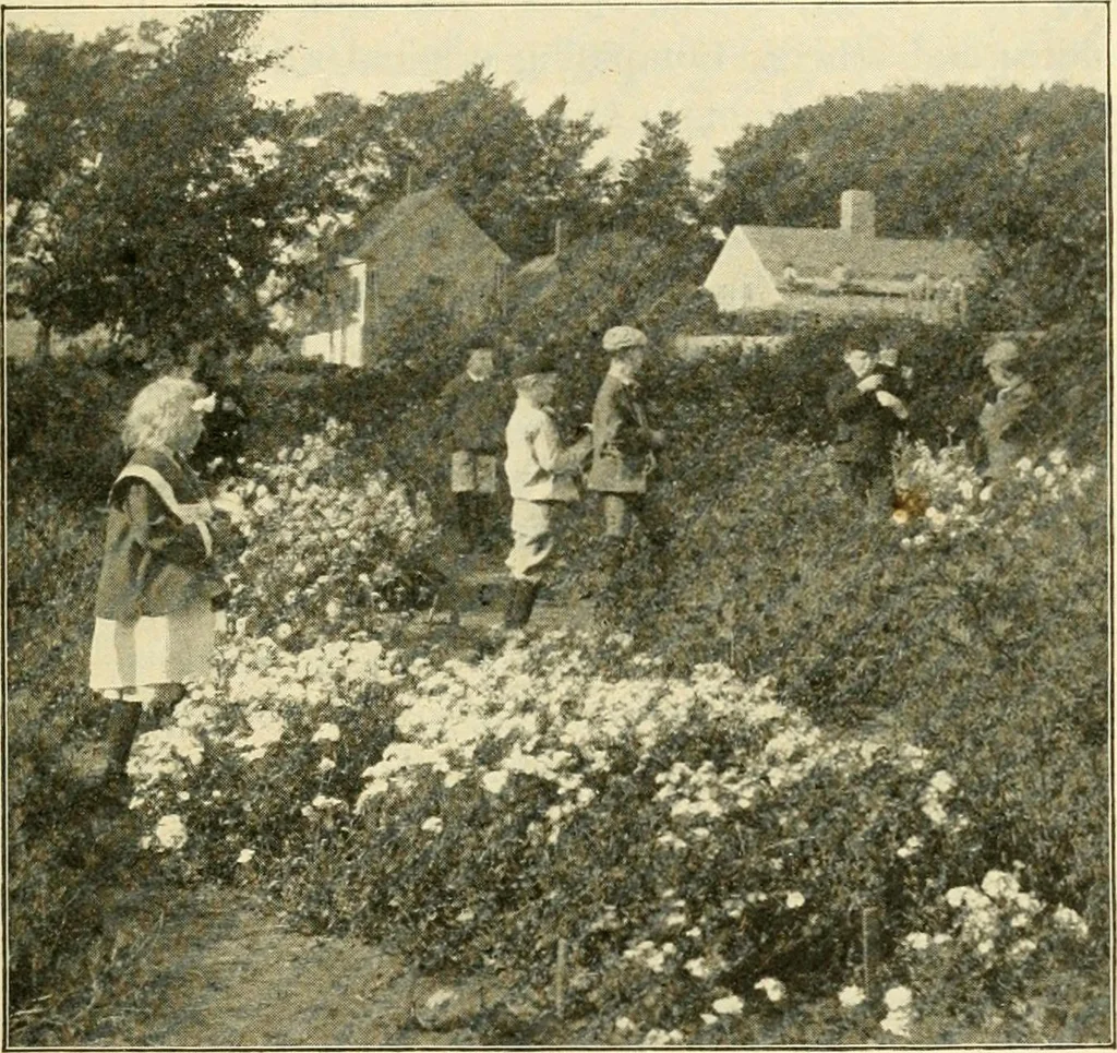 An illustration from Education by plays and games, 1907, leaf 167