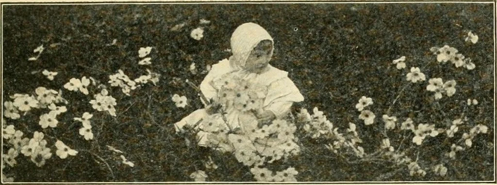 An illustration from Education by plays and games, 1907, leaf 17