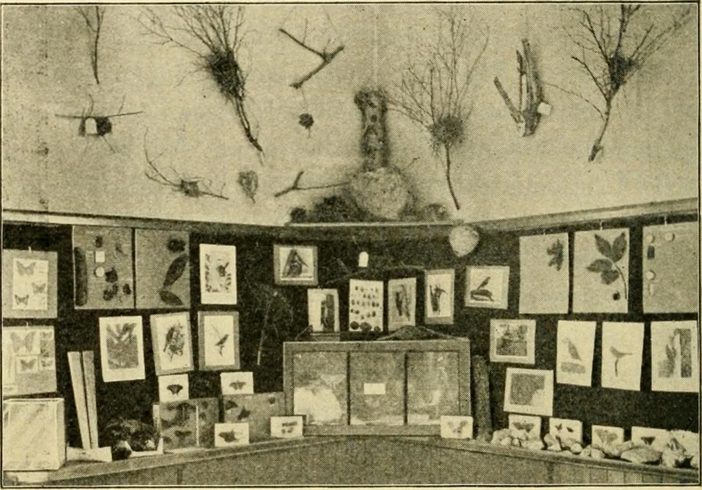 An illustration from Education by plays and games, 1907, leaf 208