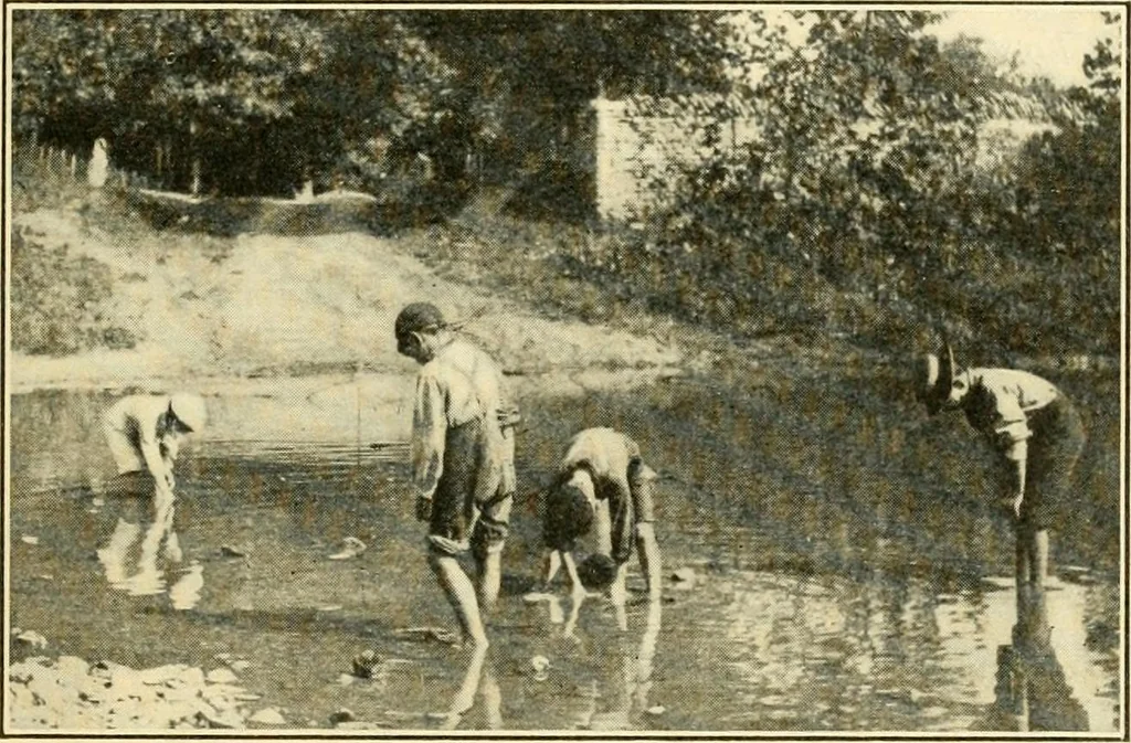 An illustration from Education by plays and games, 1907, leaf 213