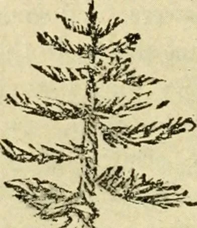 An illustration from Education by plays and games, 1907, leaf 216