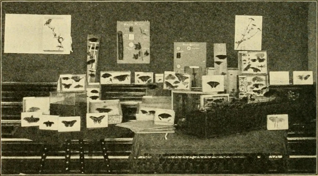 An illustration from Education by plays and games, 1907, leaf 234