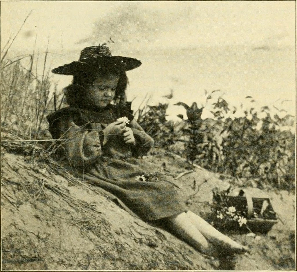 An illustration from Education by plays and games, 1907, leaf 41
