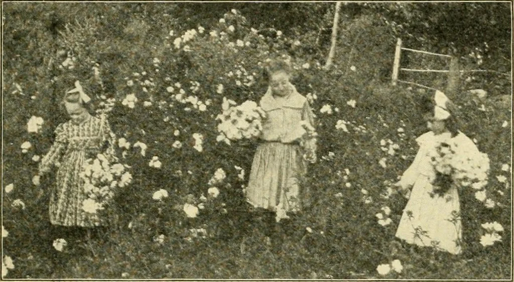 An illustration from Education by plays and games, 1907, leaf 47