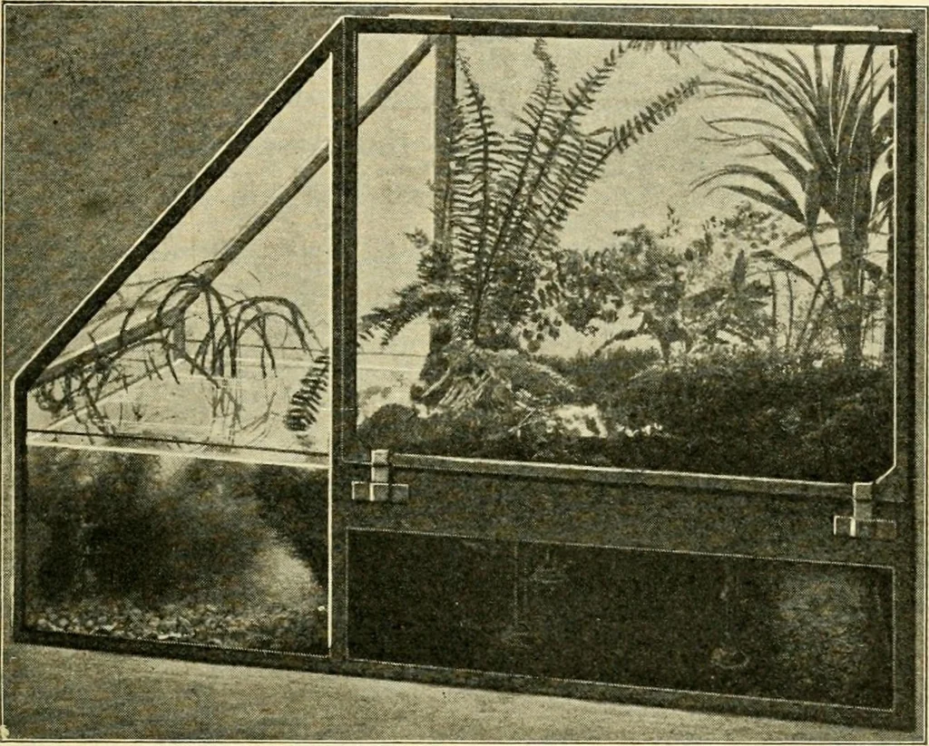 An illustration from Education by plays and games, 1907, leaf 71