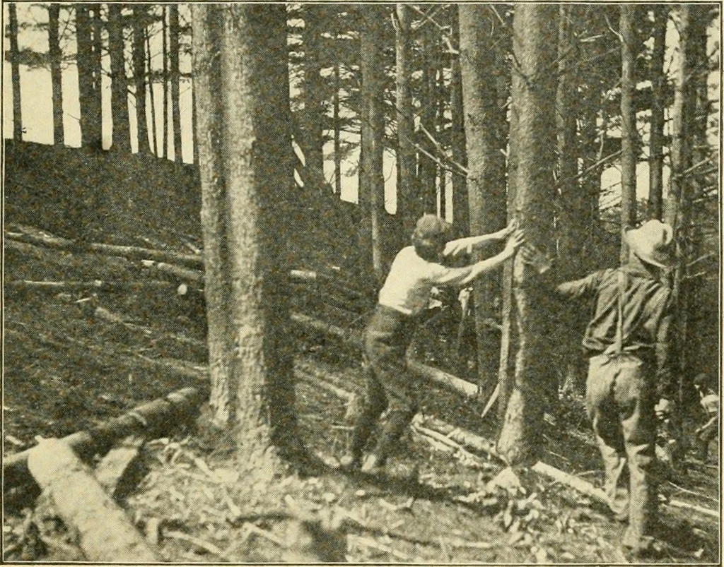 An illustration from Education by plays and games, 1907, leaf 83