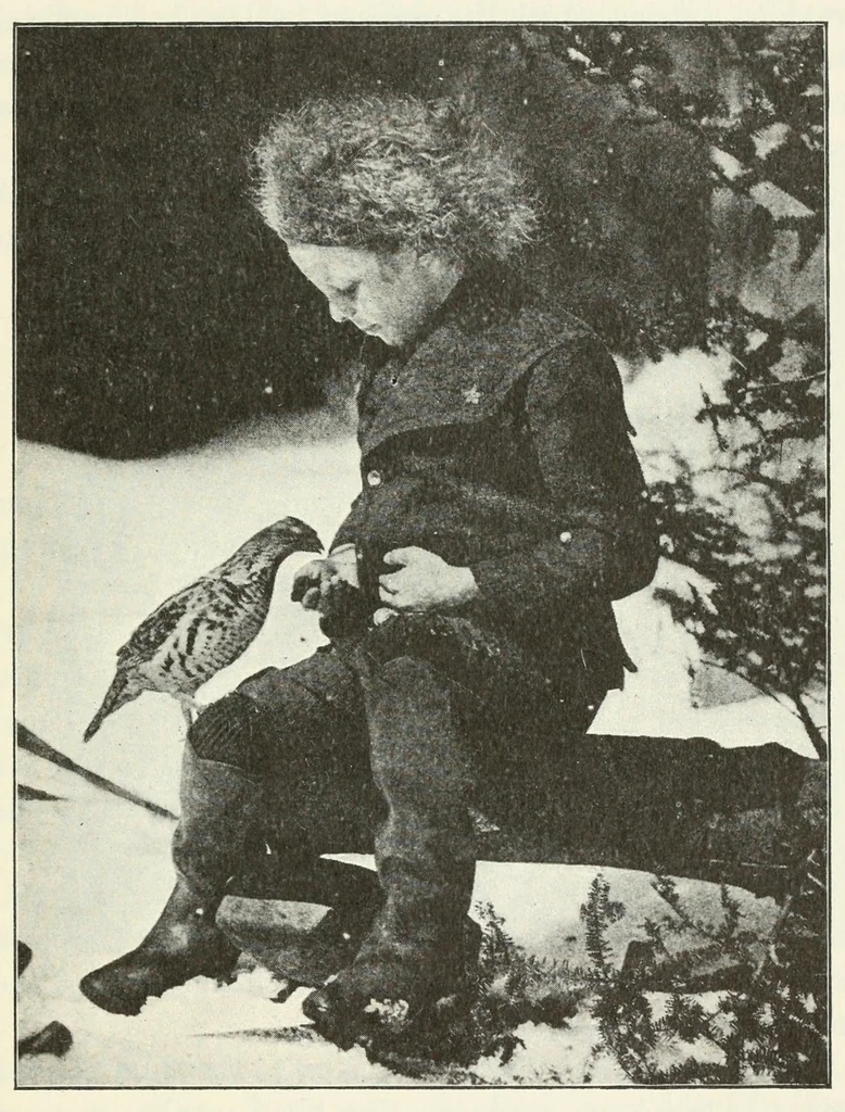 An illustration from Education by plays and games, 1907, leaf 139