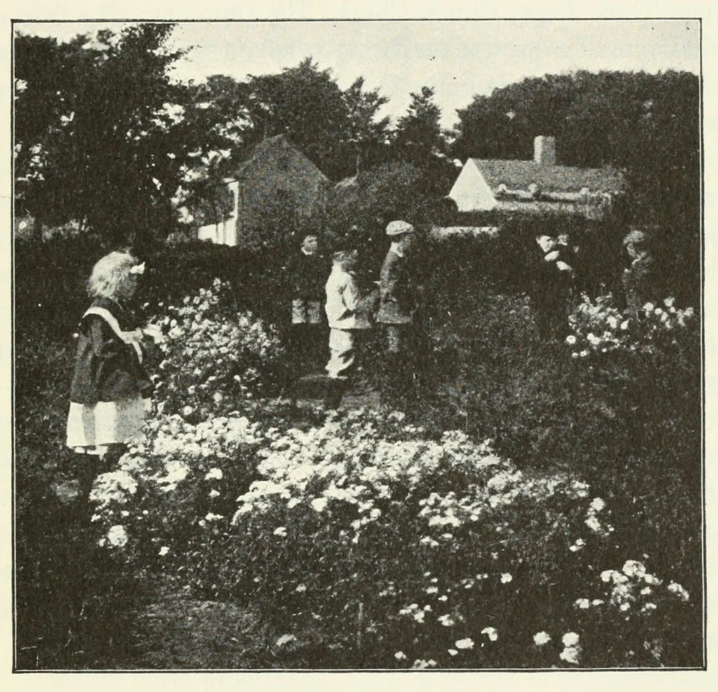 An illustration from Education by plays and games, 1907, leaf 171