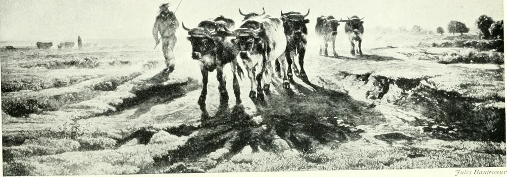 An illustration from The education of an artist, 1906, leaf 109