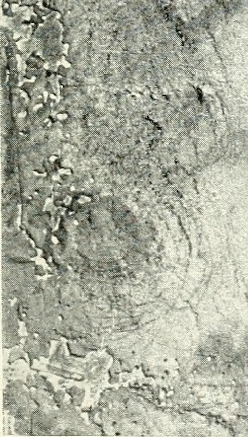 An illustration from The education of an artist, 1906, leaf 250