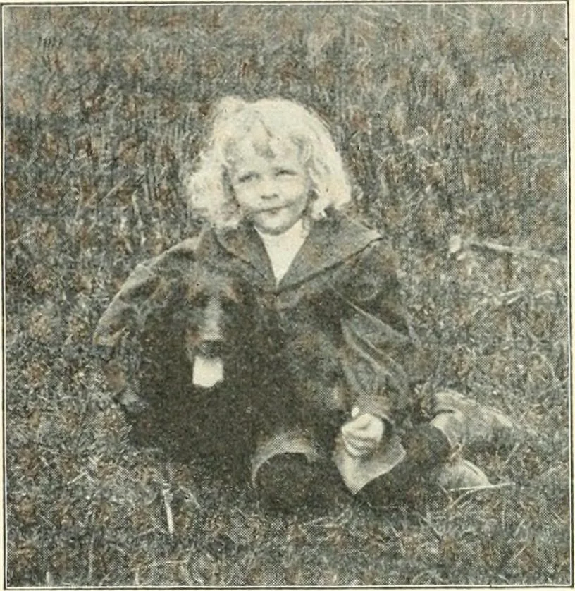 An illustration from Education by plays and games, 1907, leaf 106