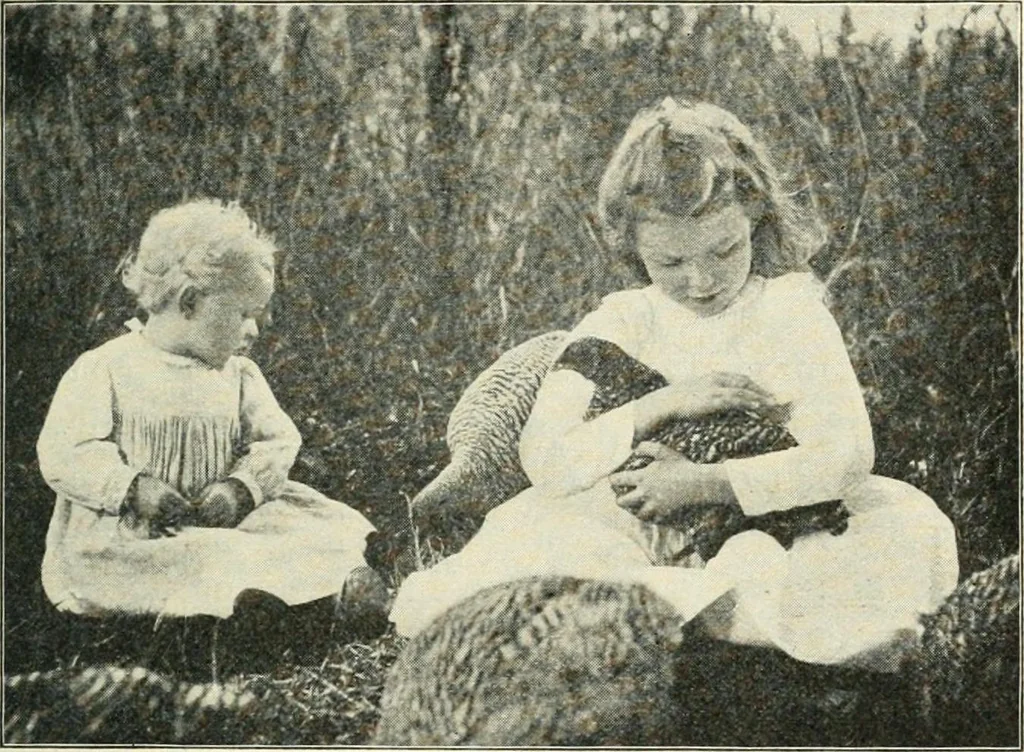 An illustration from Education by plays and games, 1907, leaf 133