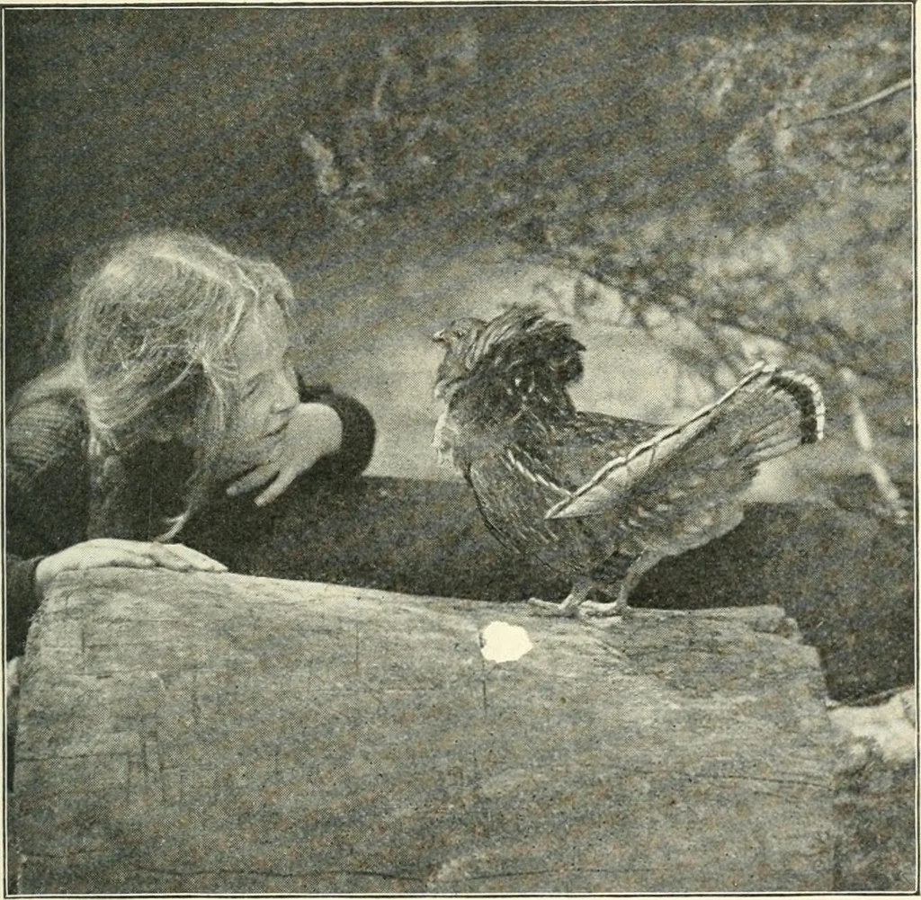 An illustration from Education by plays and games, 1907, leaf 139