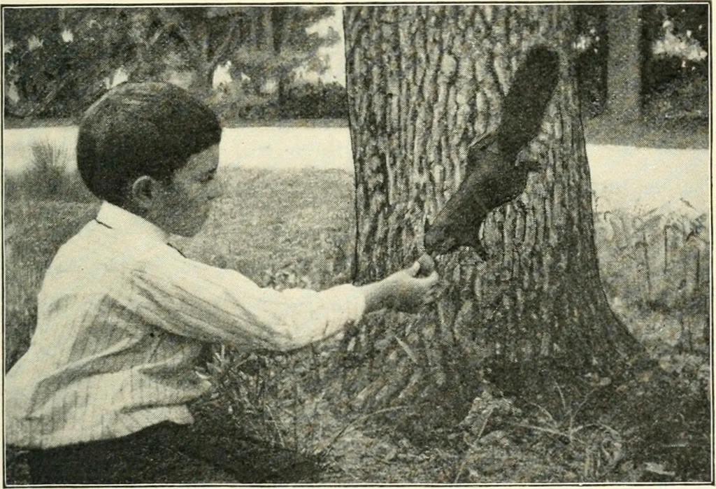 An illustration from Education by plays and games, 1907, leaf 141