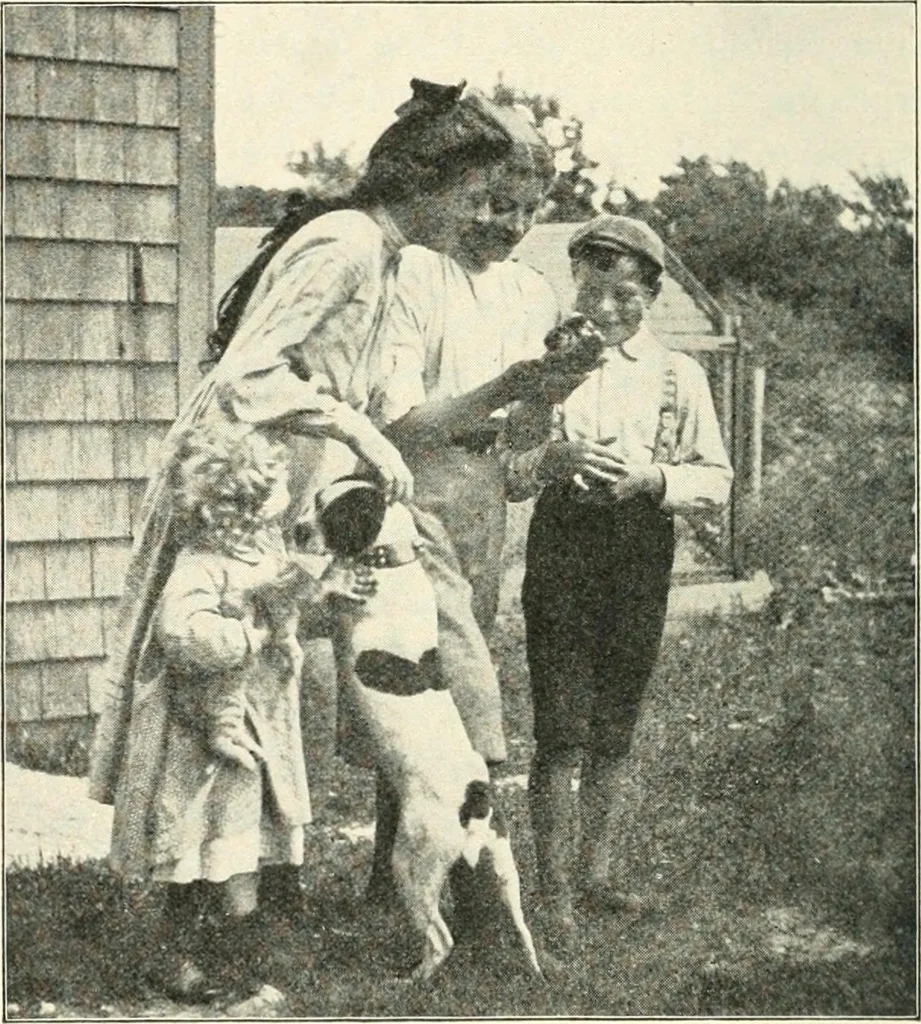 An illustration from Education by plays and games, 1907, leaf 144
