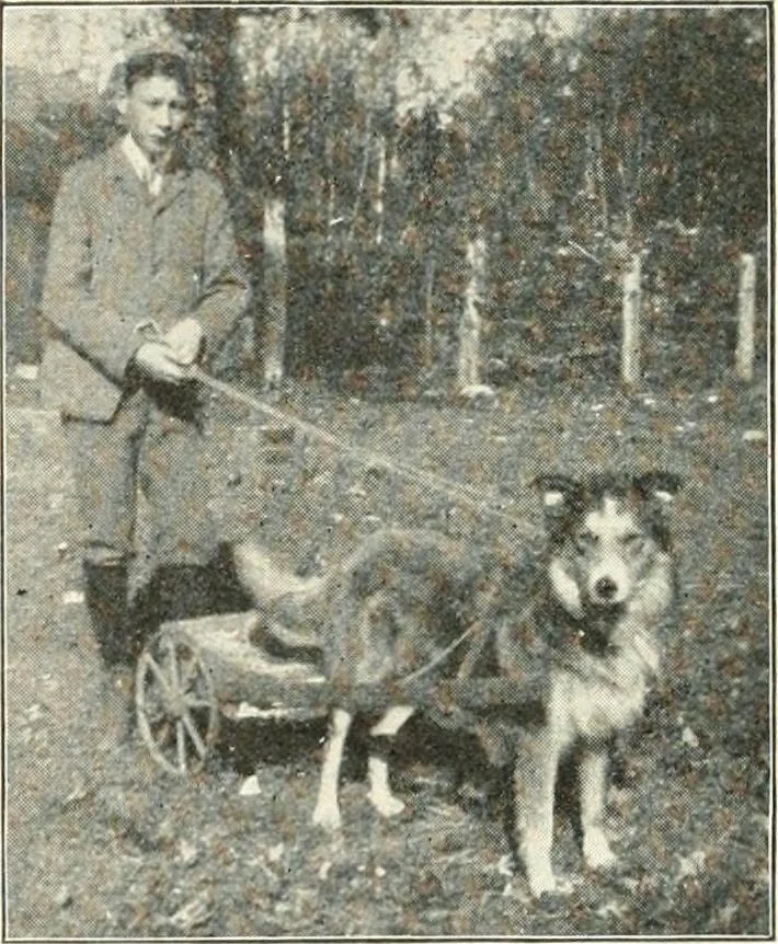 An illustration from Education by plays and games, 1907, leaf 146