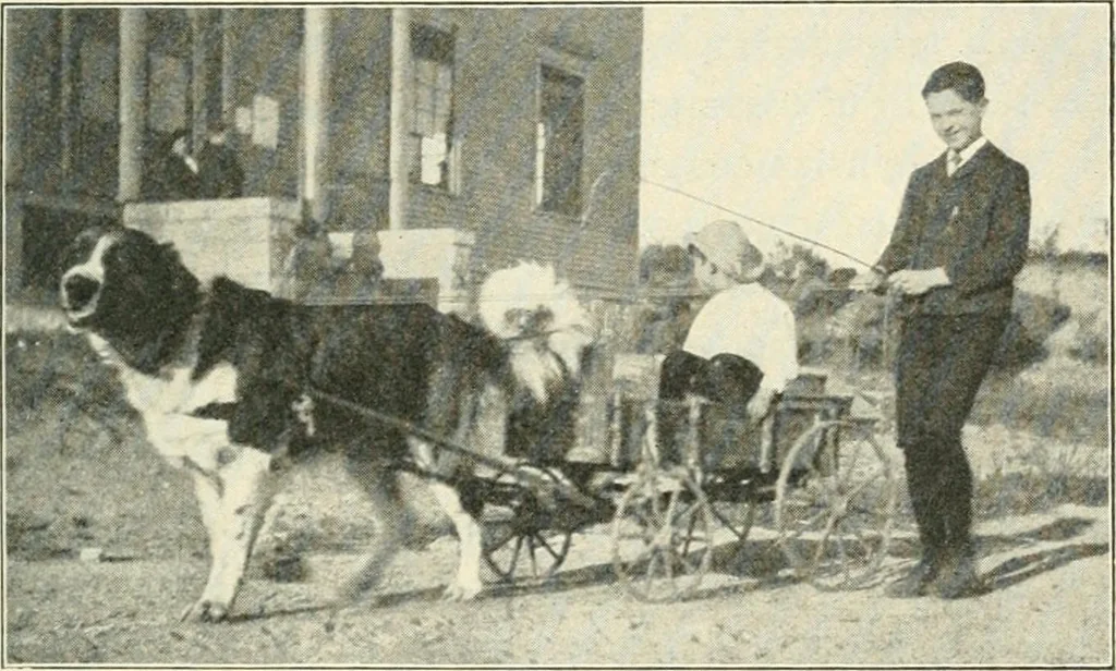 An illustration from Education by plays and games, 1907, leaf 147