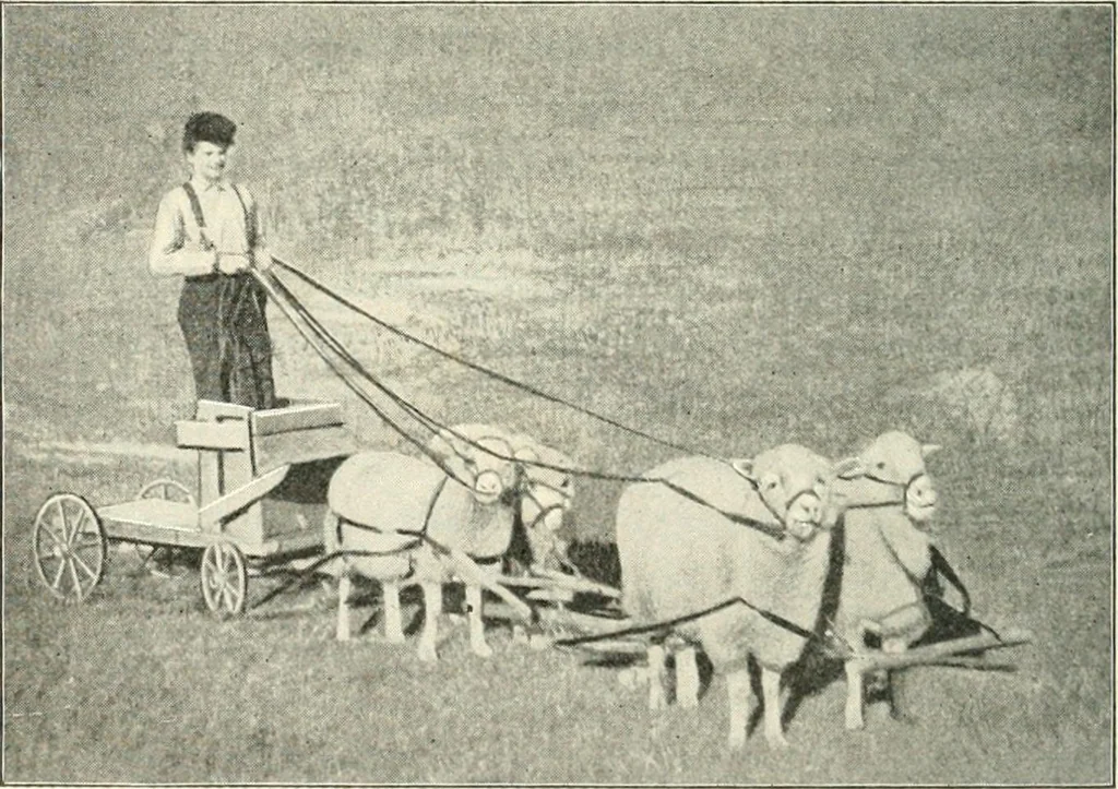 An illustration from Education by plays and games, 1907, leaf 150