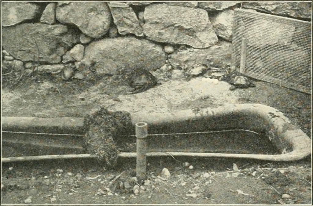 An illustration from Education by plays and games, 1907, leaf 151