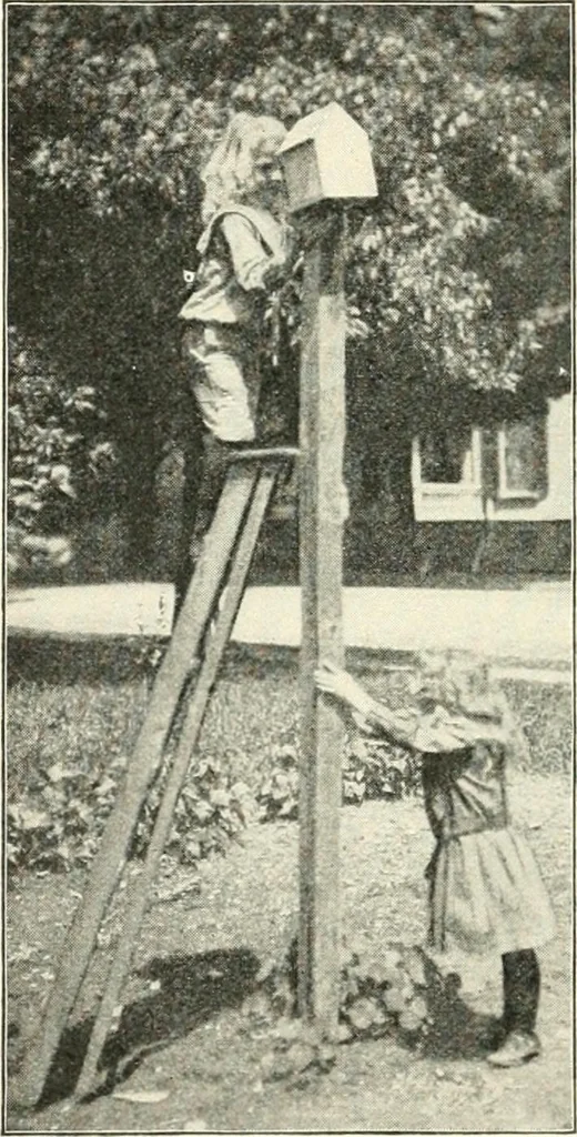 An illustration from Education by plays and games, 1907, leaf 160
