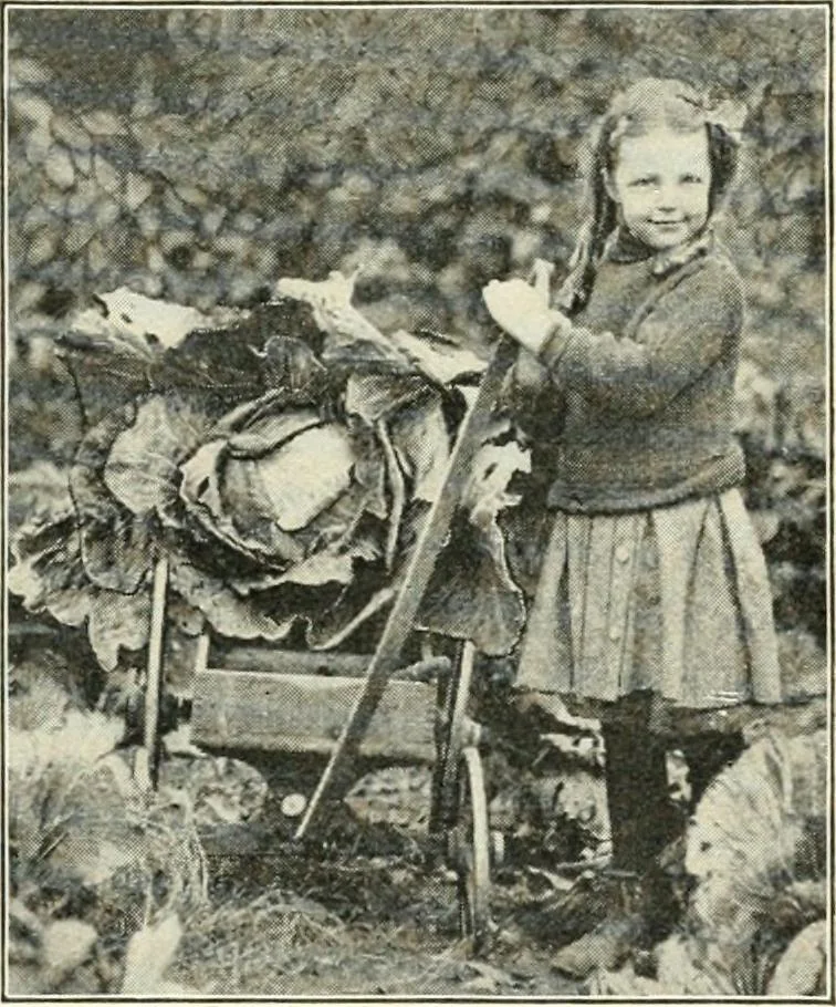 An illustration from Education by plays and games, 1907, leaf 163
