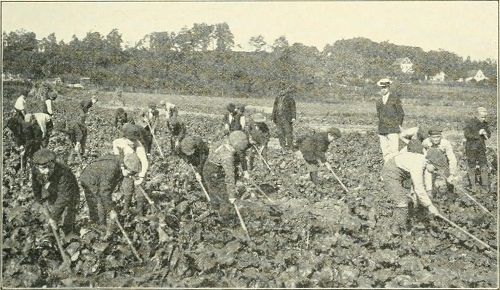 An illustration from Education by plays and games, 1907, leaf 167