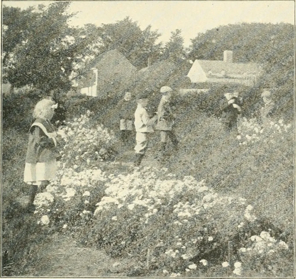 An illustration from Education by plays and games, 1907, leaf 169