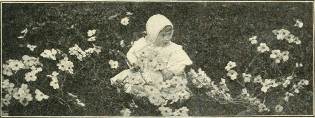 An illustration from Education by plays and games, 1907, leaf 19
