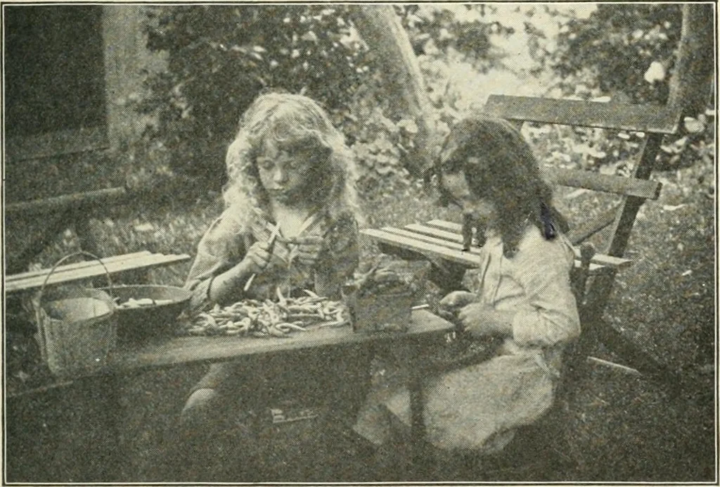 An illustration from Education by plays and games, 1907, leaf 39