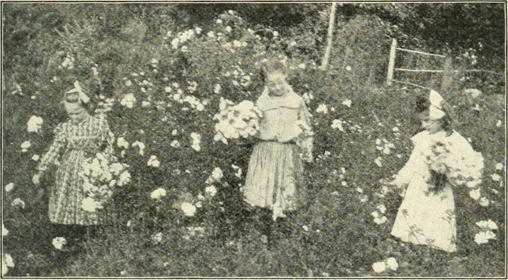 An illustration from Education by plays and games, 1907, leaf 49