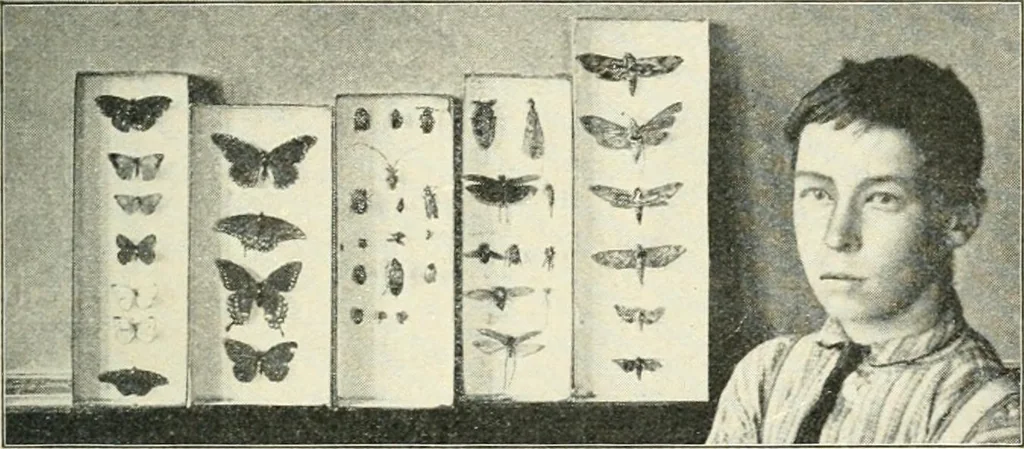 An illustration from Education by plays and games, 1907, leaf 71