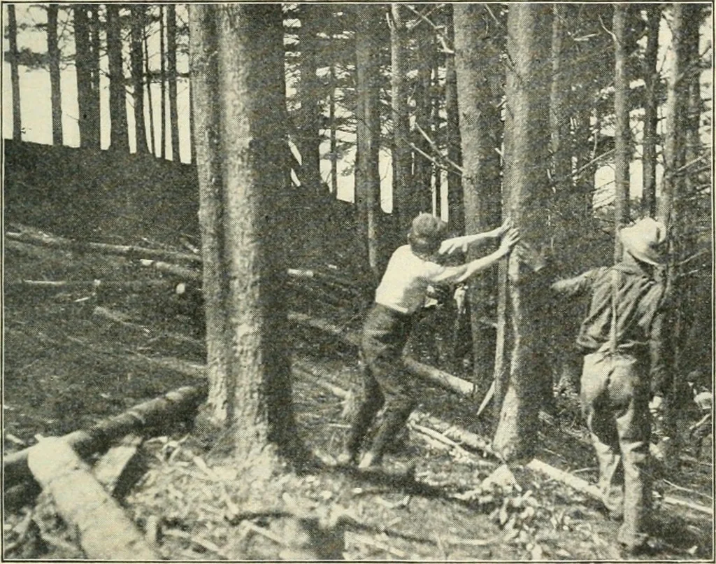 An illustration from Education by plays and games, 1907, leaf 85