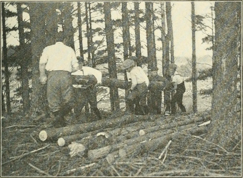 An illustration from Education by plays and games, 1907, leaf 87