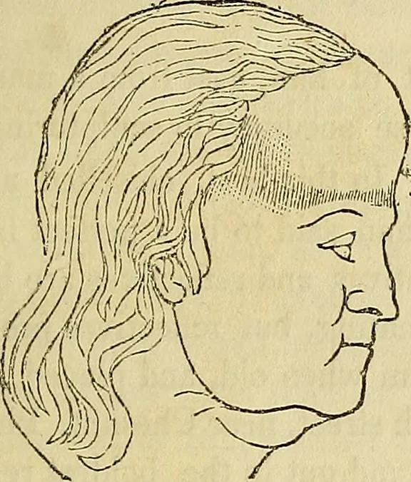 An illustration from Education and self-improvement, founded on physiology and phrenology : or, what constitutes good heads and bodies, and how to make them good, by enlarging deficiencies and diminishing excesses, 1844, leaf 131
