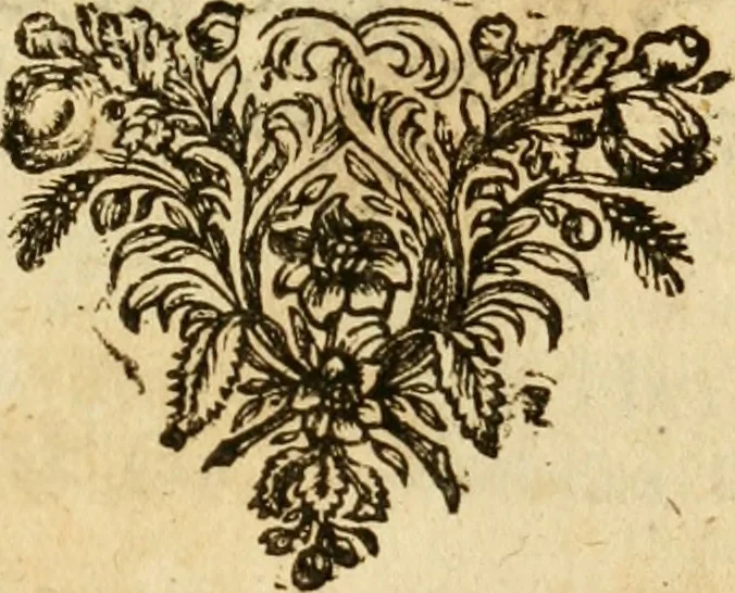 An illustration from Eduward Meltons, Engelsch edelmans, Zeldzaame en gedenkwaardige zee- en land-reizen; door Egypten, West-Indien, Perzien, Turkyen, Oost-Indien, en d'aangrenzende gewesten;, 1681, leaf 140