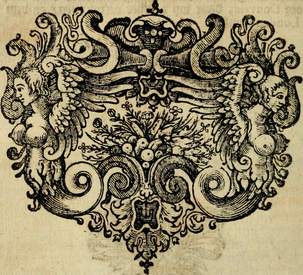 An illustration from Eduward Meltons, Engelsch edelmans, Zeldzaame en gedenkwaardige zee- en land-reizen; door Egypten, West-Indien, Perzien, Turkyen, Oost-Indien, en d'aangrenzende gewesten;, 1681, leaf 255