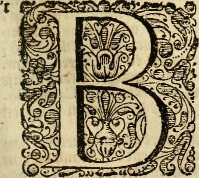 An illustration from Eduward Meltons, Engelsch edelmans, Zeldzaame en gedenkwaardige zee- en land-reizen; door Egypten, West-Indien, Perzien, Turkyen, Oost-Indien, en d'aangrenzende gewesten;, 1681, leaf 256