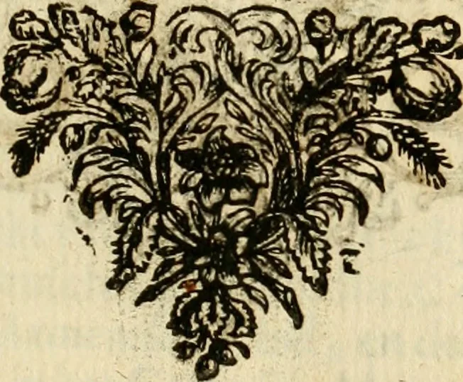 An illustration from Eduward Meltons, Engelsch edelmans, Zeldzaame en gedenkwaardige zee- en land-reizen; door Egypten, West-Indien, Perzien, Turkyen, Oost-Indien, en d'aangrenzende gewesten;, 1681, leaf 396