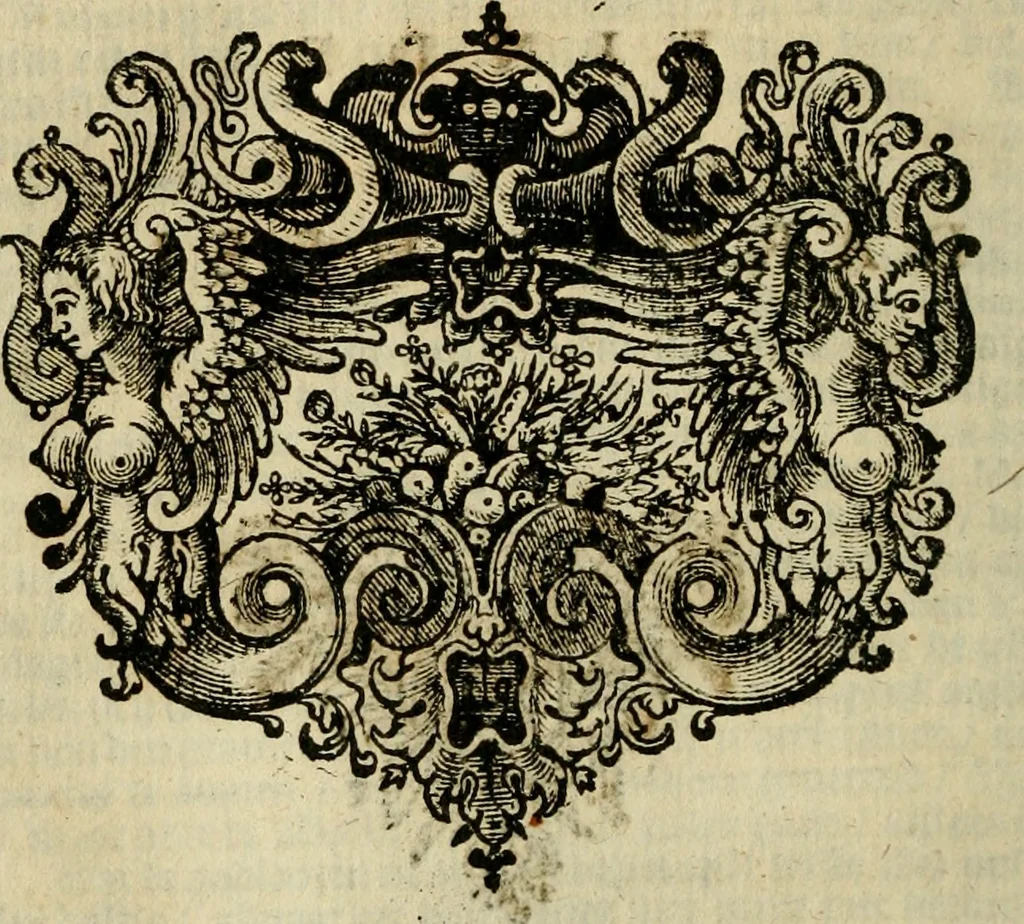 An illustration from Eduward Meltons, Engelsch edelmans, Zeldzaame en gedenkwaardige zee- en land-reizen; door Egypten, West-Indien, Perzien, Turkyen, Oost-Indien, en d'aangrenzende gewesten;, 1681, leaf 397