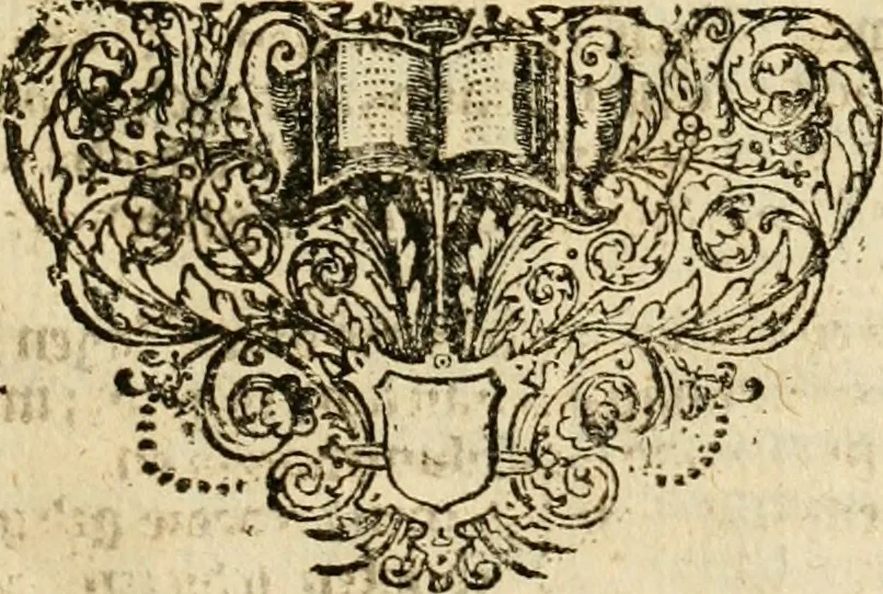 An illustration from Eduward Meltons, Engelsch edelmans, Zeldzaame en gedenkwaardige zee- en land-reizen; door Egypten, West-Indien, Perzien, Turkyen, Oost-Indien, en d'aangrenzende gewesten;, 1681, leaf 554