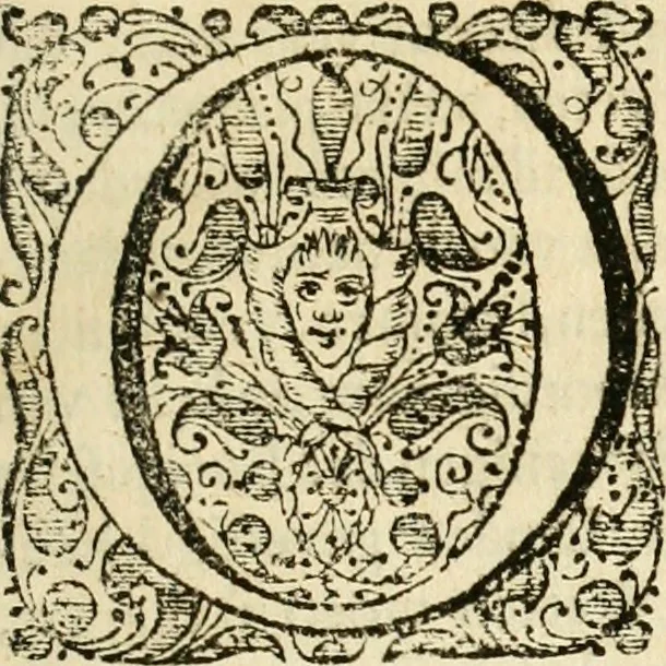An illustration from Eduward Meltons, Engelsch edelmans, Zeldzaame en gedenkwaardige zee- en land-reizen; door Egypten, West-Indien, Perzien, Turkyen, Oost-Indien, en d'aangrenzende gewesten;, 1681, leaf 8