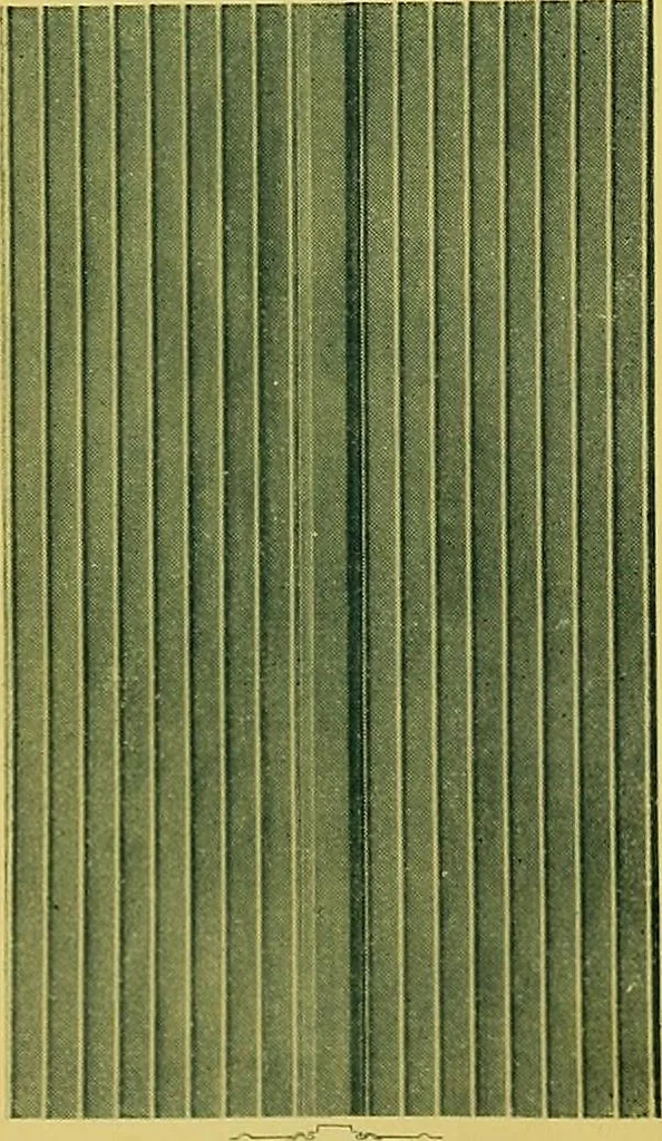 An illustration from Edwards buildings., 1900, leaf 11