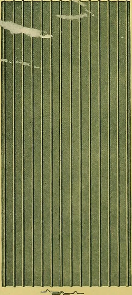 An illustration from Edwards buildings., 1900, leaf 11