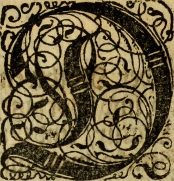 An illustration from E. E. hochweisen Raths der Stadt Leipzig Verneuerte und verbesserte Ordnung, wie es bey besorgenden ansteckenden Seuchen, da Gott vergleichen über diese Stadt verhängen solte, in einem und dem andern zu halten, und wornach sich ein jedweder im Fall der Noth zu achten, auch Raths und Hülffe zu erholen, 1681, leaf 40